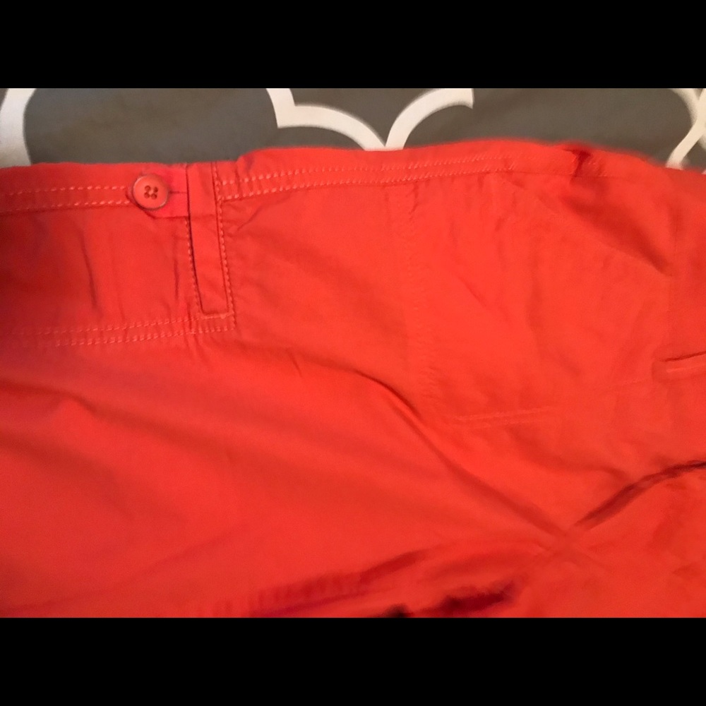 Ann Taylor Loft size 2 Capri - Picture 10 of 13